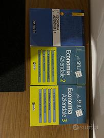 Gli spilli economia aziendale