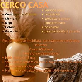 Ricerco appartamento
