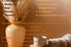 Ricerco appartamento