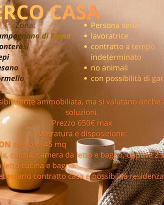 Ricerco appartamento
