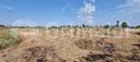terreno-agricolo-alezio-cod-rif-3248842vcg-