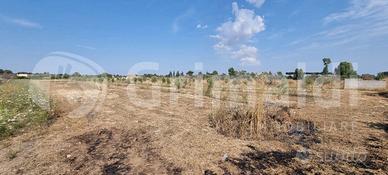 Terreno Agricolo Alezio [Cod. rif 3248842VCG]