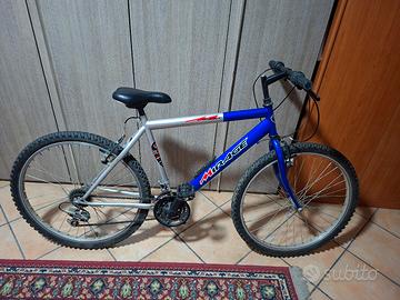 Bici da  adulto 