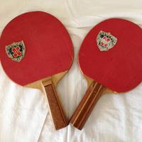 Racchette da ping pong