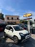 fiat-panda-0-9-twinair-turbo-s-s-4x4-kw66-cv90-gan
