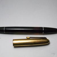 Penna Aurora e Columbus