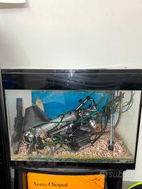 acquario askoll led