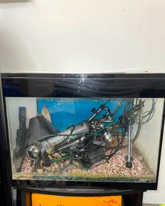 acquario askoll led