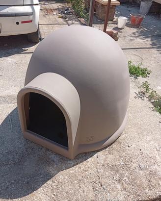 cuccia in plastica per cane media  taglia