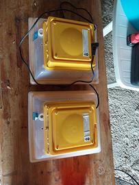 Incubatrice covatutto