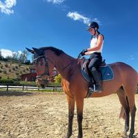 Cavalla purosangue inglese sanissima