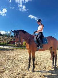 Cavalla purosangue inglese sanissima