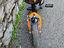 Immagine 3