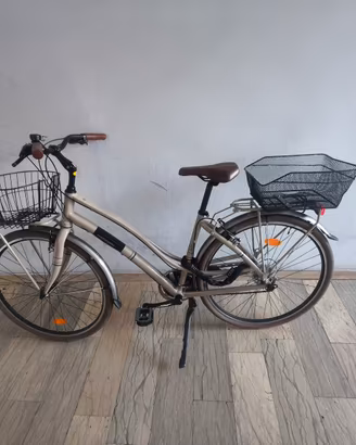 biciclette Citybike Montana 