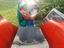 Immagine 4