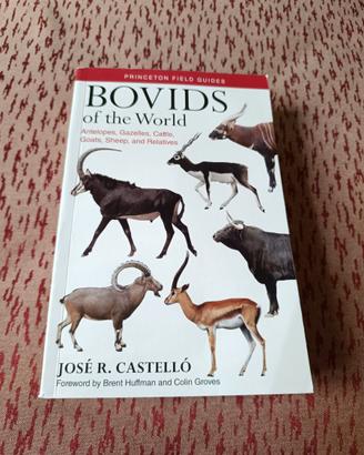 Bovids of the World