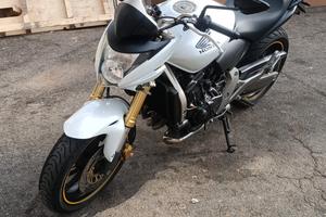 Honda Hornet