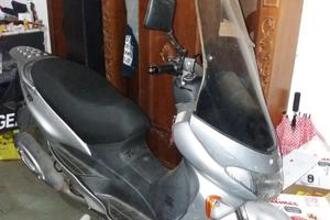 Suzuki epicuro 150
