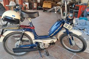 motorino malagutti