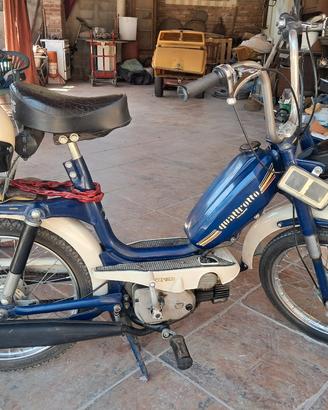 motorino malagutti