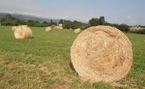 Borgo S Lorenzo 6 ha terreno annessi sorgente