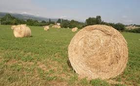 Borgo S Lorenzo 6 ha terreno annessi sorgente