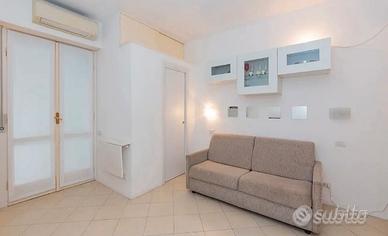 Monolocale Torino Sud