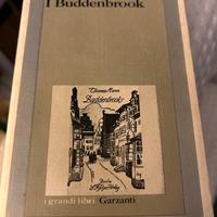 Libro Thomas Mann i Buddenbrook