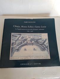 Fabio Mangone Chiaja Monte Echia e Santa Lucia