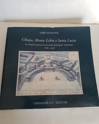 Fabio Mangone Chiaja Monte Echia e Santa Lucia