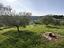 Immagine 10