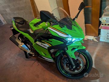 Kawasaki Ninja 500 - 2025