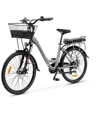 Bicicletta elettrica