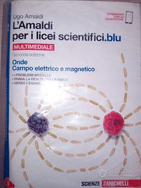 Onde campo elettrico e magnetico