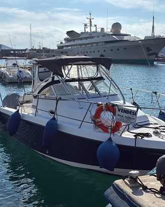 Barca a motore