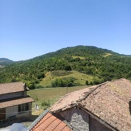 Terreno agricolo in collina di c.ca 78.000 mq