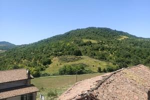 Terreno agricolo in collina di c.ca 78.000 mq
