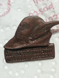 spilla adunata nazionale alpini Torino 2011