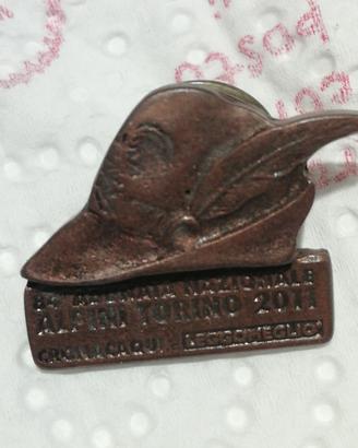 spilla adunata nazionale alpini Torino 2011