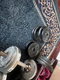 palestra 