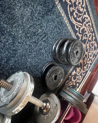 palestra 