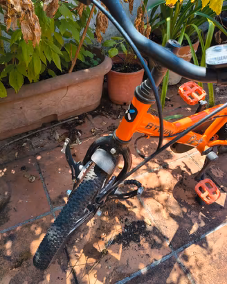 bicicletta bambino
