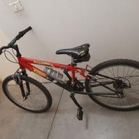 bicicletta MTB