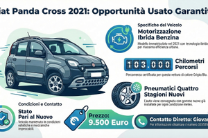 Fiat Panda Cross