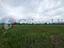 Immagine 10
