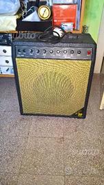 Amplificatore EKO 30 BASS