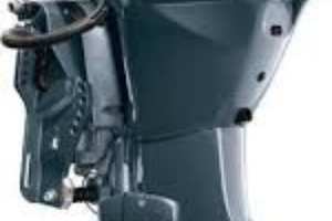 Yamaha 40/50 935cc Selva Barracuda