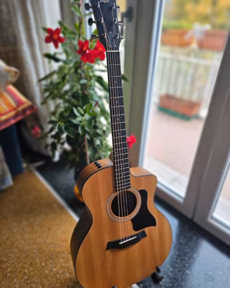Chitarra Taylor 114 ce