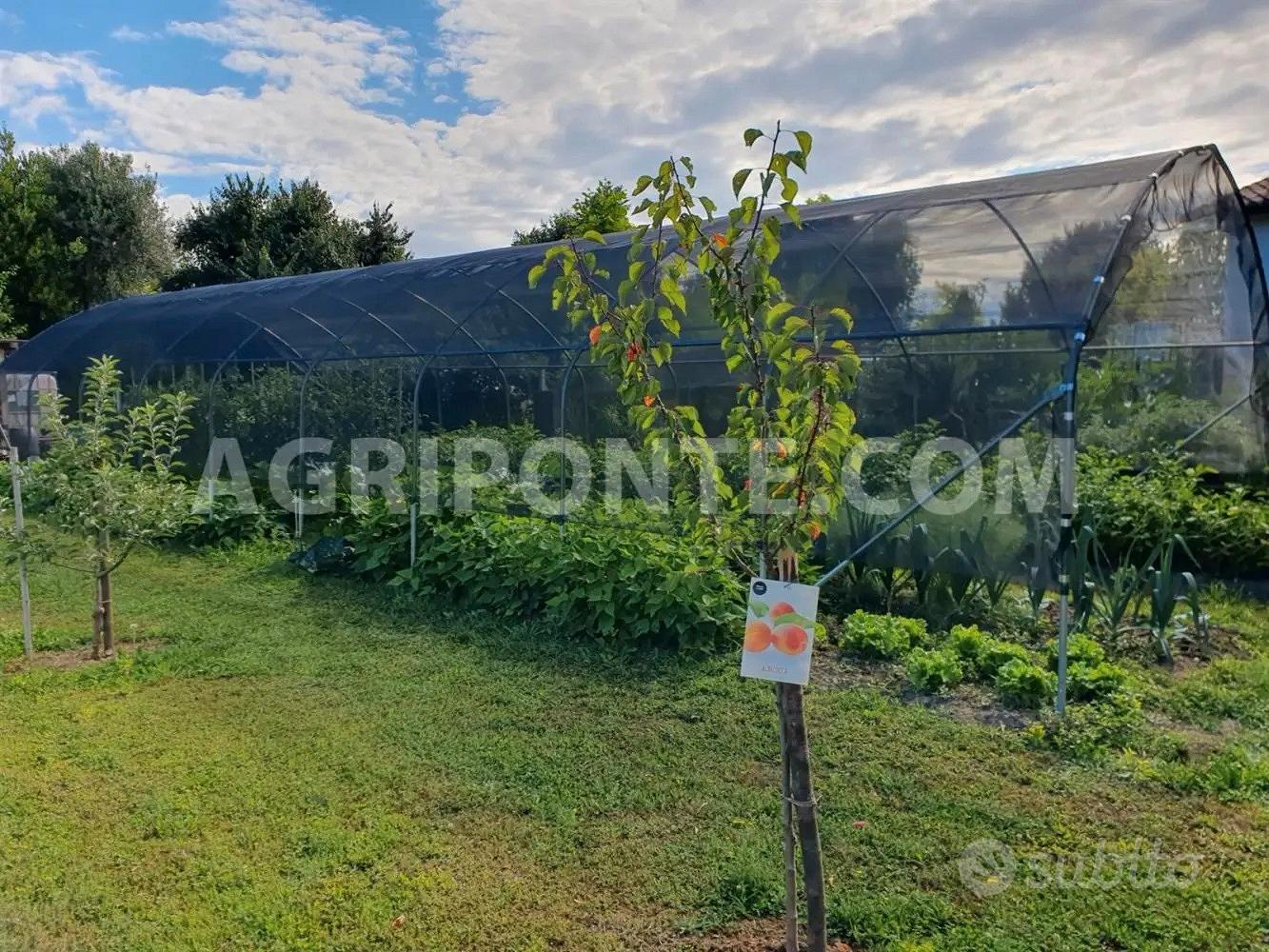 Serra antigrandine - Giardino e Fai da te In vendita a Treviso