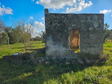 Terreno con uliveto e casetta